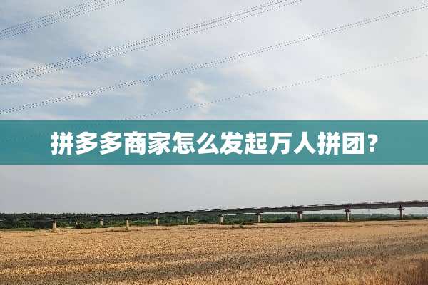 拼多多商家怎么发起万人拼团？