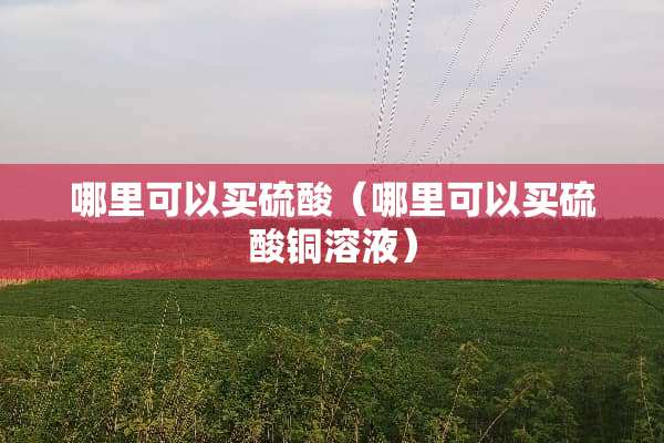 哪里可以买硫酸（哪里可以买硫酸铜溶液）