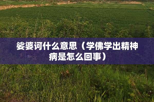 娑婆诃什么意思（学佛学出精神病是怎么回事）