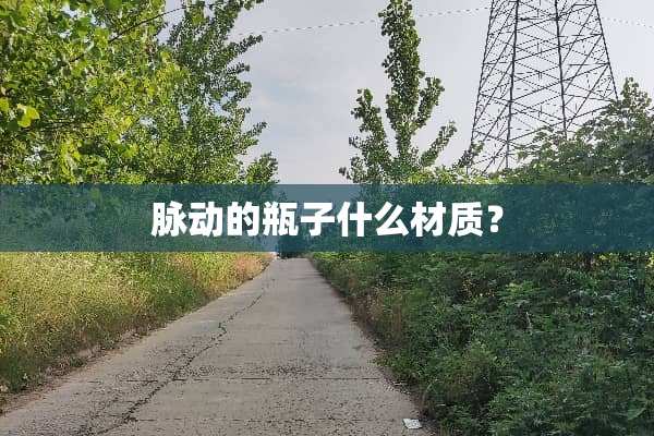 脉动的瓶子什么材质？