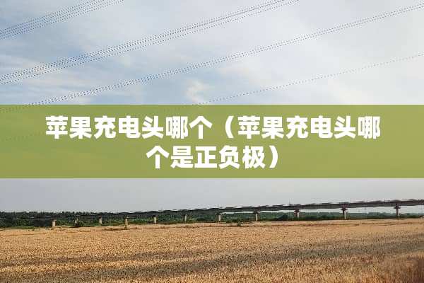 苹果充电头哪个（苹果充电头哪个是正负极）