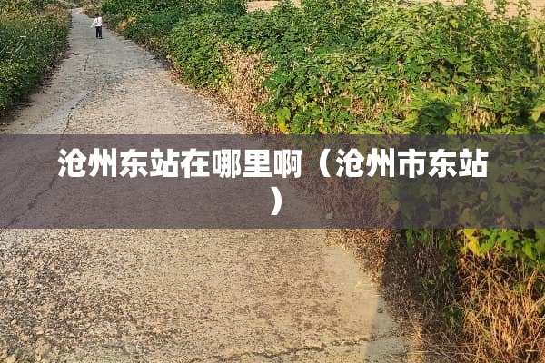 沧州东站在哪里啊（沧州市东站）