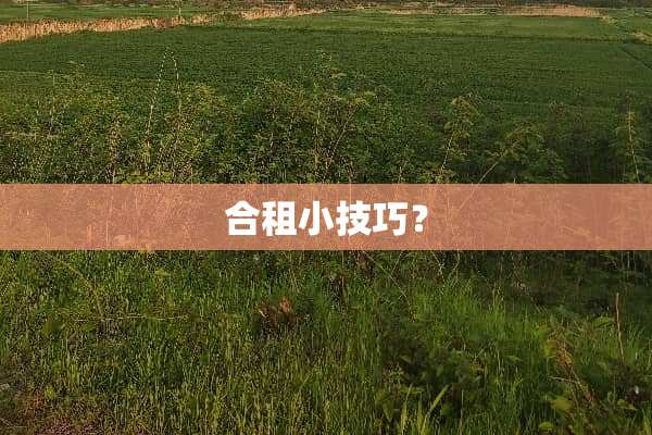 合租小技巧？
