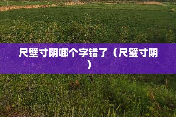 尺壁寸*哪个字错了（尺璧寸*）