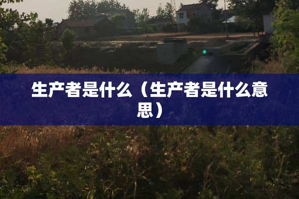 生产者是什么（生产者是什么意思）