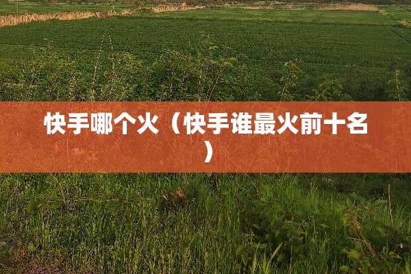 快手哪个火（快手谁最火前十名）