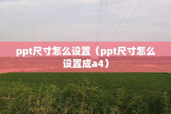ppt尺寸怎么设置（ppt尺寸怎么设置成a4）