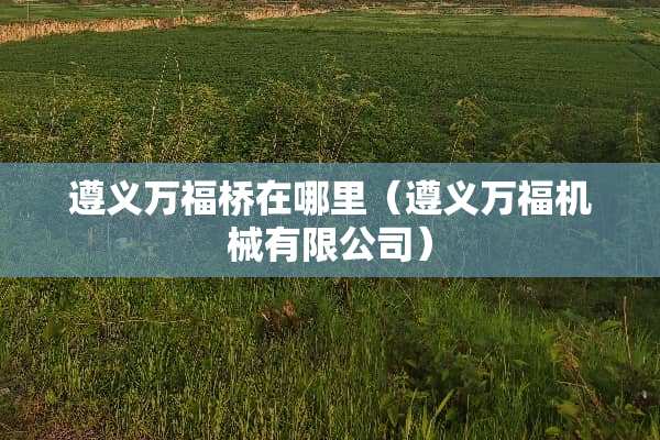 遵义万福桥在哪里（遵义万福机械有限公司）
