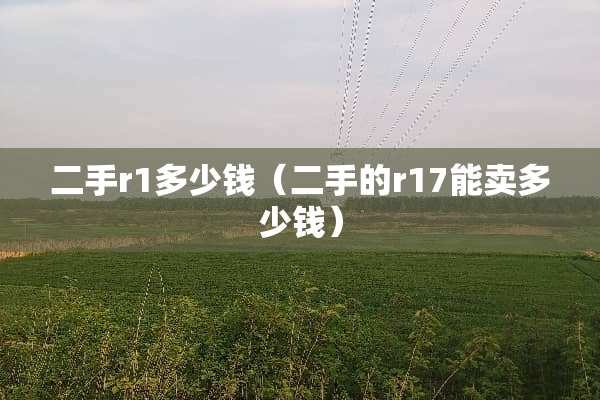 二手r1多少钱（二手的r17能卖多少钱）