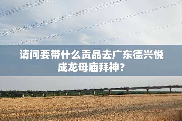 请问要带什么贡品去广东德兴悦成龙母庙拜神？