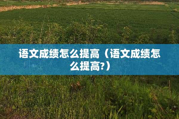 语文成绩怎么提高（语文成绩怎么提高?）