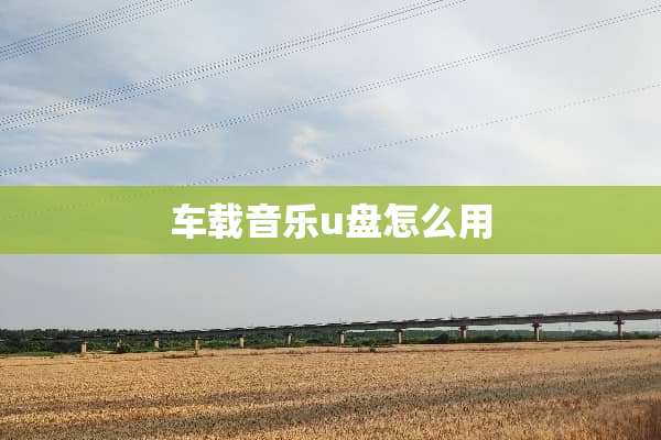 车载音乐u盘怎么用