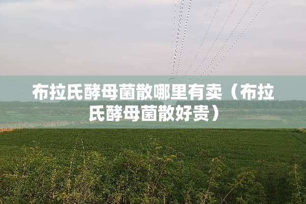 布拉氏酵母菌散哪里有卖（布拉氏酵母菌散好贵）