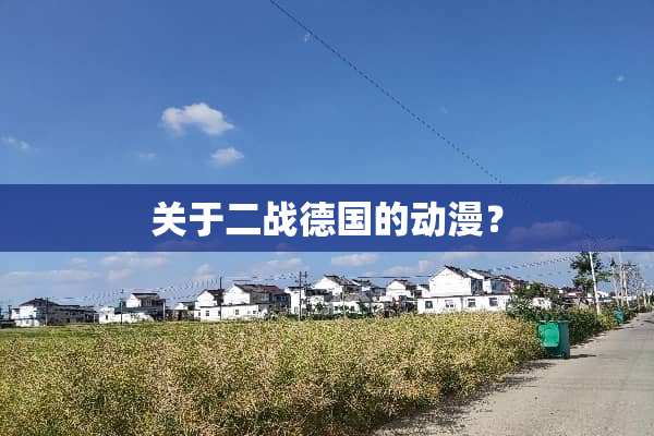 关于二战德国的动漫？