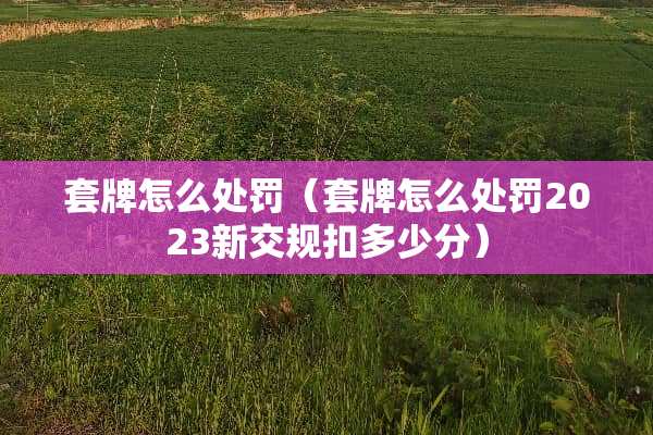 **怎么处罚（**怎么处罚2023新交规扣多少分）