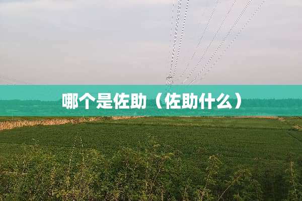 哪个是佐助（佐助什么）