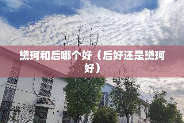 黛珂和后哪个好（后好还是黛珂好）
