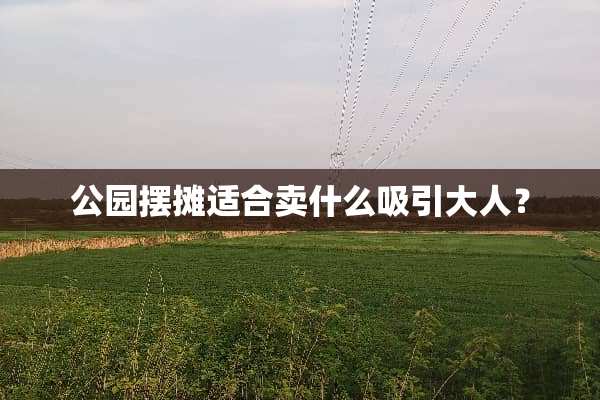 公园摆摊适合卖什么吸引大人？