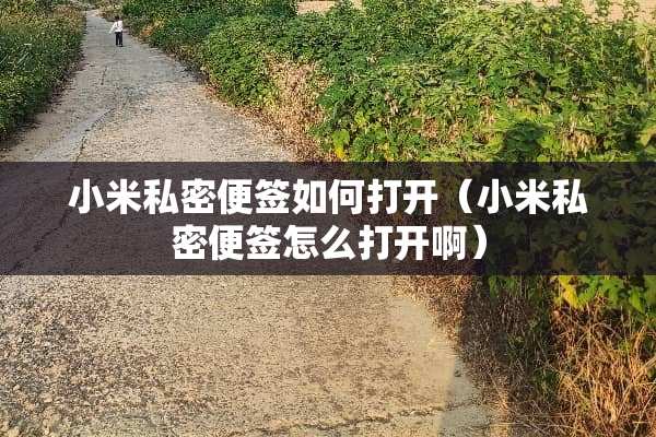 小米私密便签如何打开（小米私密便签怎么打开啊）