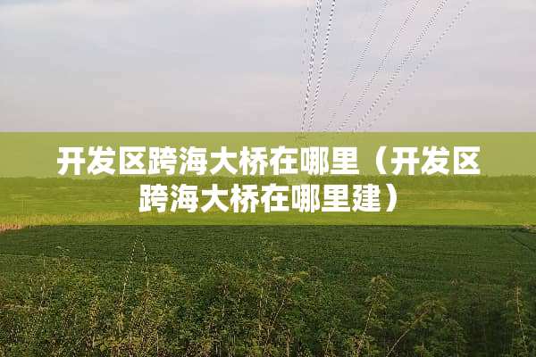 开发区跨海大桥在哪里（开发区跨海大桥在哪里建）