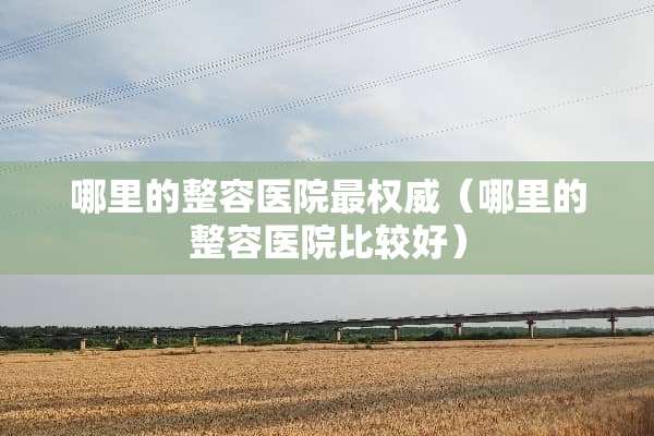哪里的整容医院最权威（哪里的整容医院比较好）