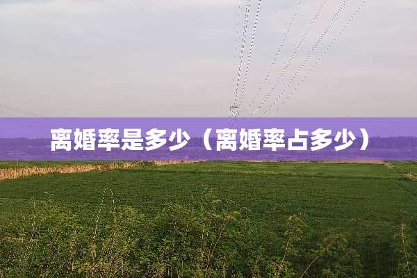 **率是多少（**率占多少）