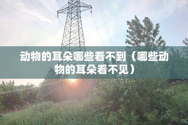 动物的耳朵哪些看不到（哪些动物的耳朵看不见）
