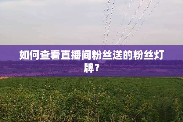 如何查看直播间粉丝送的粉丝灯牌？