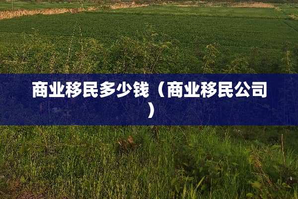 商业移民多少钱（商业移民公司）