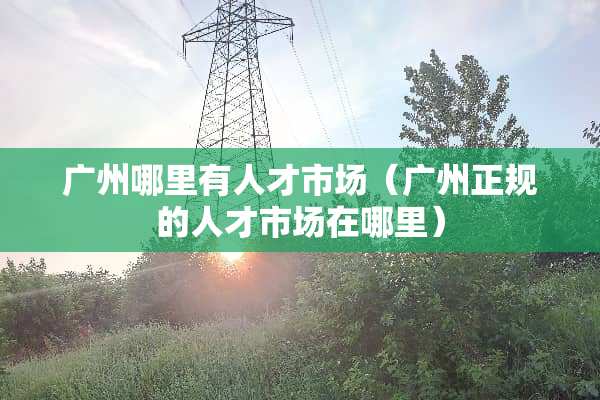广州哪里有人才市场（广州正规的人才市场在哪里）