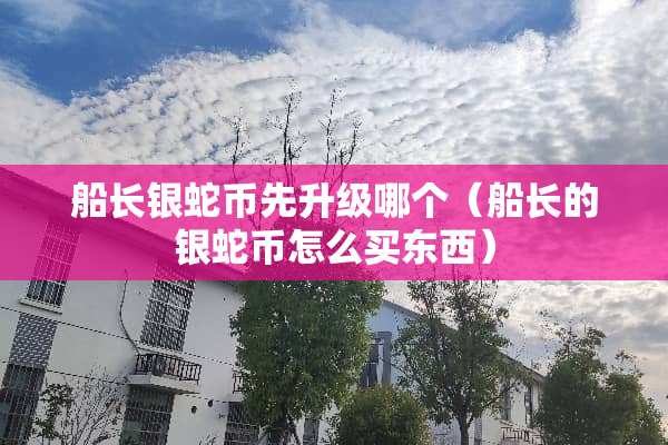 船长银蛇币先升级哪个（船长的银蛇币怎么买东西）