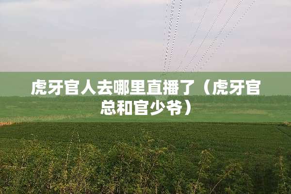 **官人去哪里直播了（**官总和官少爷）