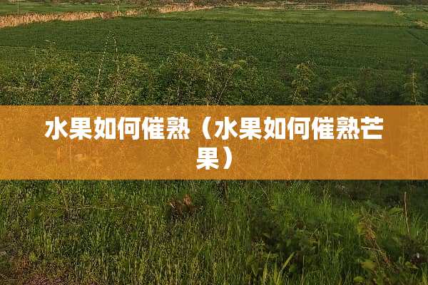 水果如何催熟（水果如何催熟芒果）