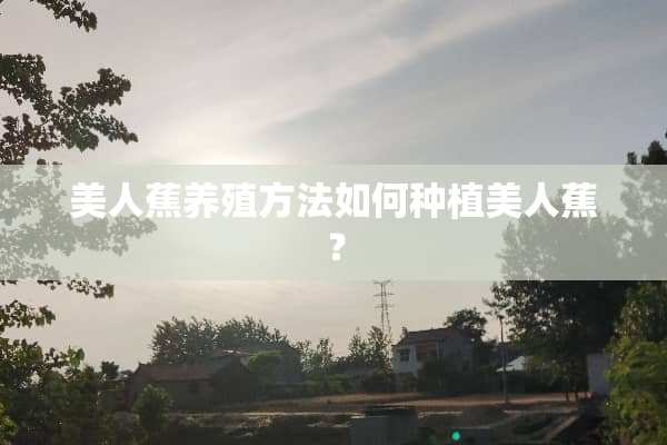 美人蕉养殖方法如何种植美人蕉？