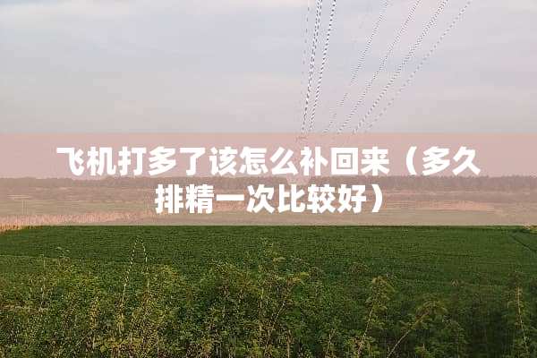 飞机打多了该怎么补回来（多久排精一次比较好）