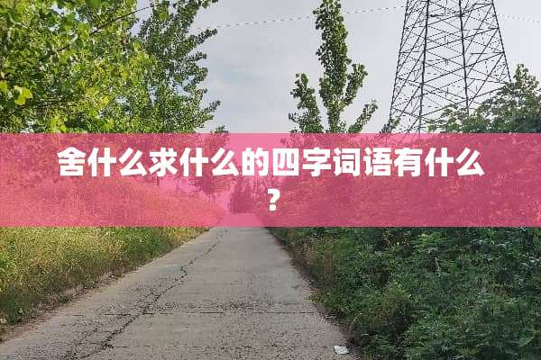 舍什么求什么的四字词语有什么？