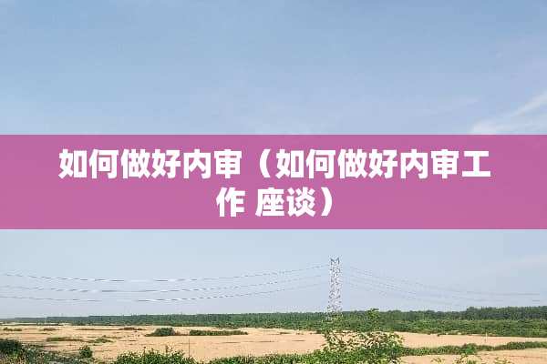 如何做好内审（如何做好内审工作 座谈）
