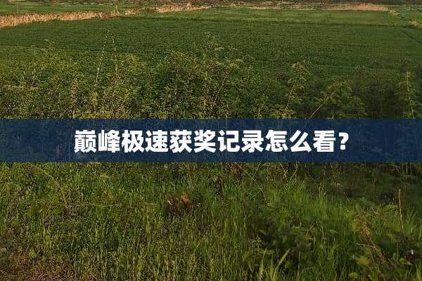 巅峰极速获奖记录怎么看？