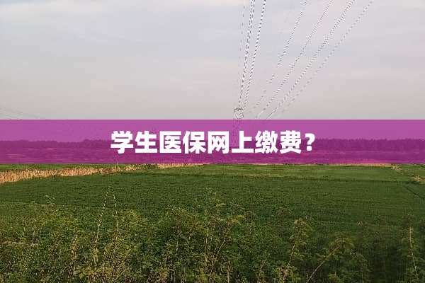 学生医保网上缴费？