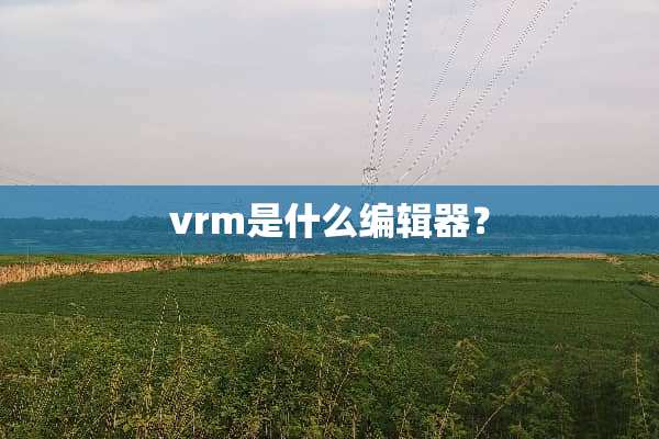 vrm是什么编辑器？