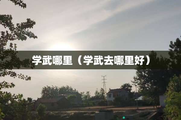 学武哪里（学武去哪里好）