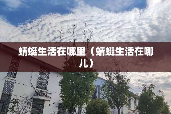 蜻蜓生活在哪里（蜻蜓生活在哪儿）