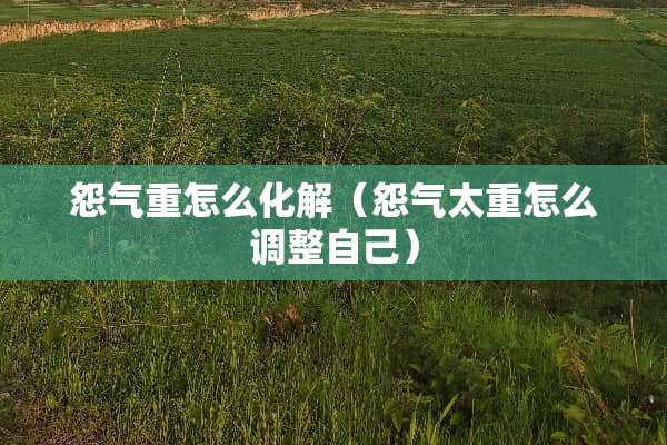 怨气重怎么化解（怨气太重怎么调整自己）
