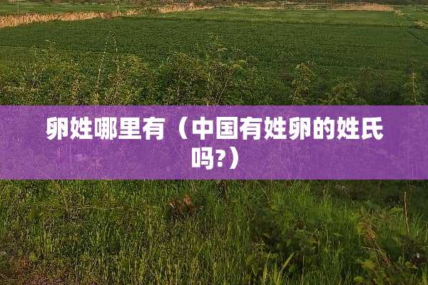 卵姓哪里有（中国有姓卵的姓氏吗?）