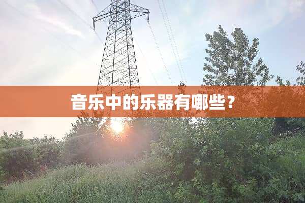 音乐中的乐器有哪些？