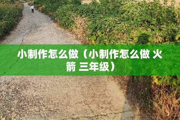 小制作怎么做（小制作怎么做 火箭 三年级）