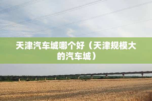 天津汽车城哪个好（天津规模大的汽车城）