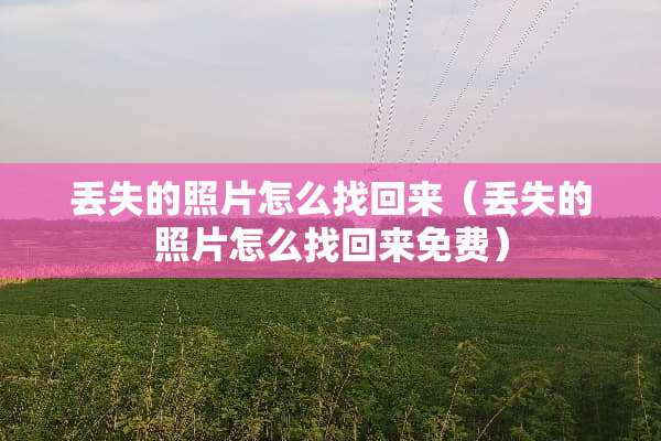 丢失的照片怎么找回来（丢失的照片怎么找回来免费）