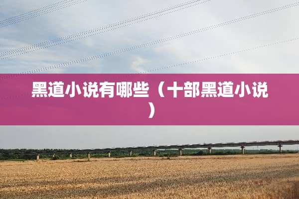 黑道小说有哪些（十部黑道小说）
