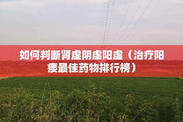 如何判断肾虚*虚阳虚（治疗阳瘘最佳药物排行榜）